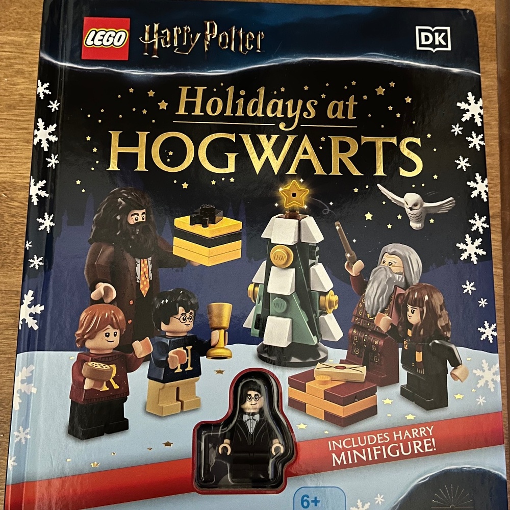 LEGO Harry Potter Book with Figure